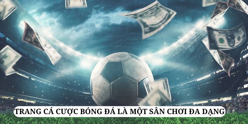 Trang cá cược bóng đá là một sân chơi đa dạng và hấp dẫn